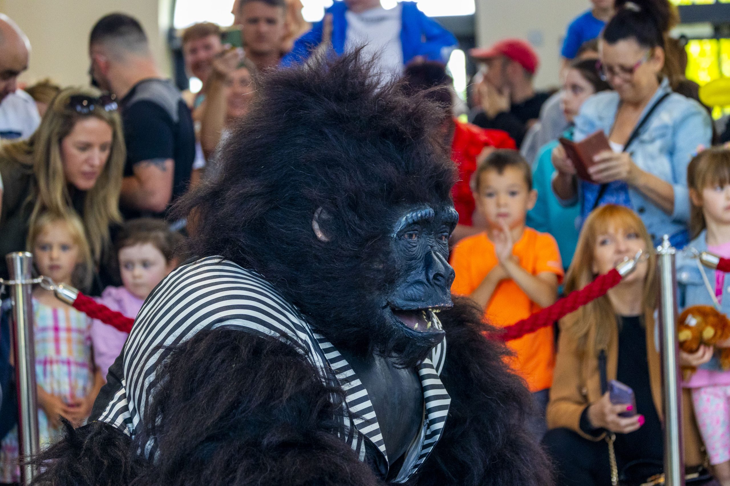 Gorilla from Marshes Giant Gorilla Escape event